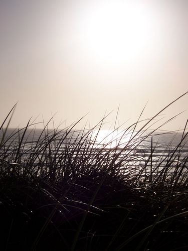 Ocean Beach (palo-alto_100_8632.jpg) wird geladen. Eindrucksvolle Fotos von der Westküste Amerikas erwarten Sie.